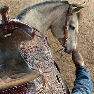 Meet your Posher, Schyler